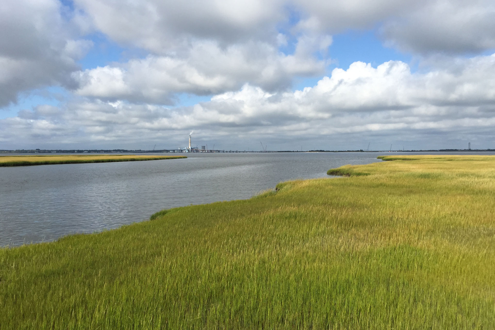 EJ Davis Photography background image
