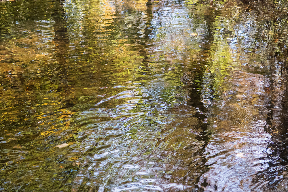 River Series
